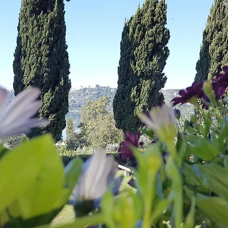 Il Nido Del Falco Castel Gandolfo Exterior foto