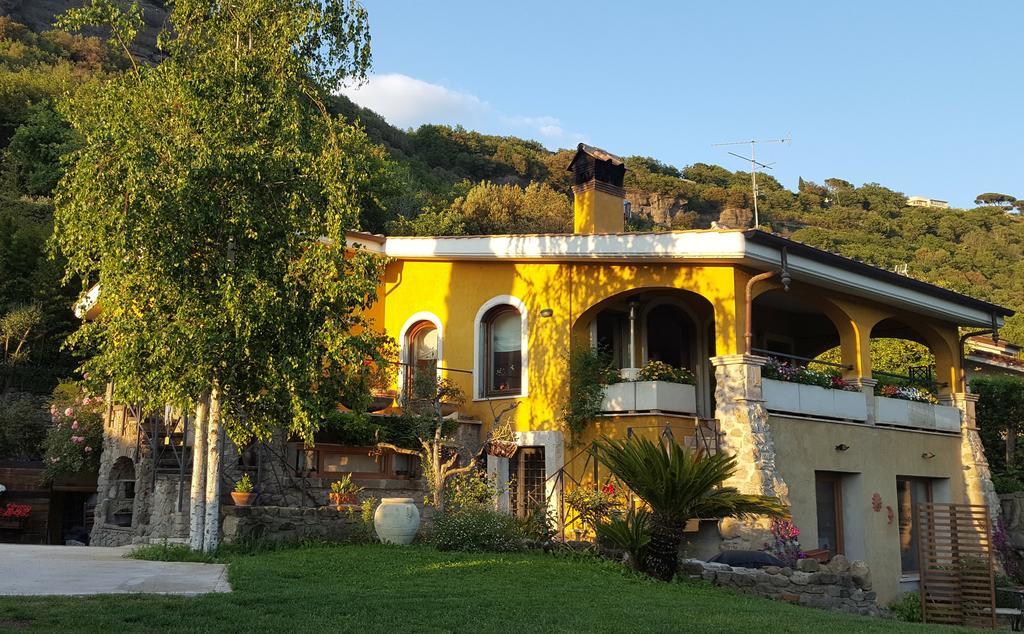 Il Nido Del Falco Castel Gandolfo
