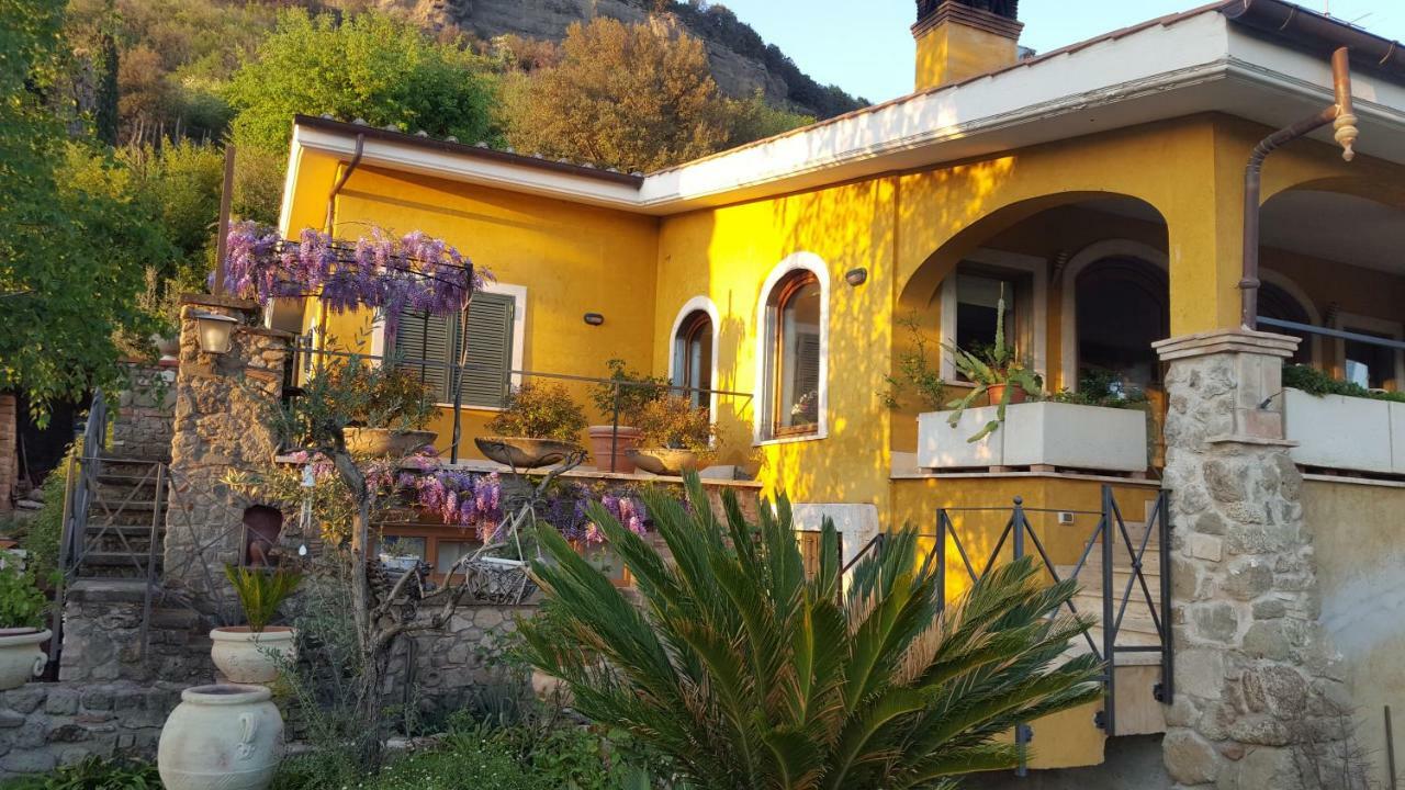 Bed & Breakfast Il Nido Del Falco Castel Gandolfo