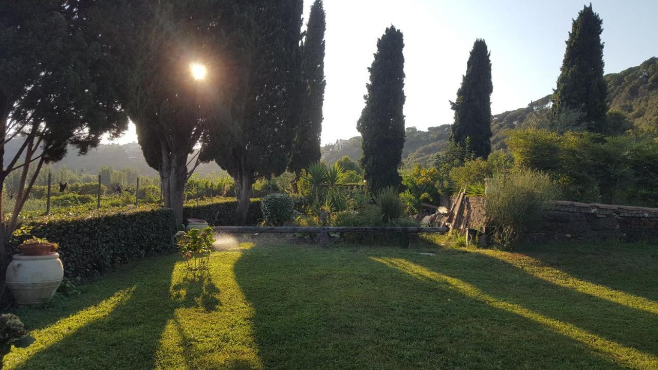 Il Nido Del Falco Bed & Breakfast